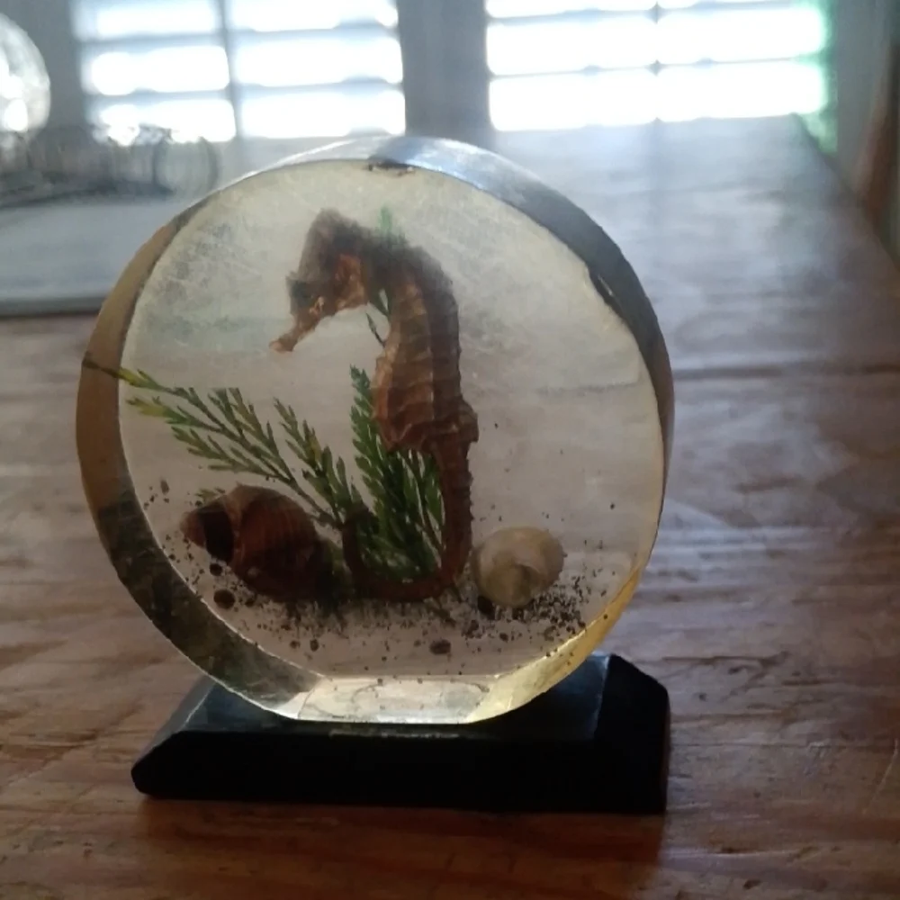 Seahorse Resin Display with Black Base